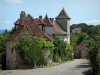 Loubressac - Casas, la vegetación, y la lámpara de la calle