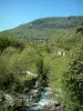 Loup Gorges - Landscape of the Loup gorges