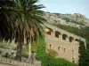 Lumio - Palmeira, casa de pedra e parede de pedra