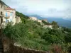 Lumio - Village huizen en bomen (in Balagne), heuvels op de achtergrond