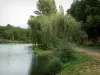 Lussac-les-Chateaux - Lagoa, árvores na beira da água e banco com mesas de piquenique