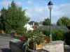 Luzy - Decoração floral (flores), poste, árvores e telhados da cidade