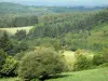 Maciço dos Monédières - Parque Natural Regional de Millevaches em Limousin: floresta e pastagens