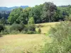 Maciço dos Monédières - Parque Natural Regional de Millevaches em Limousin: paisagem de prados em flor forrado com árvores