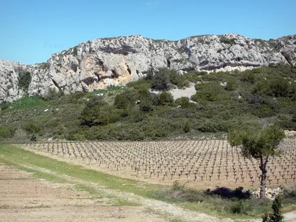 Macizo de Clape - Parque Natural Regional de Narbona en el Mediterráneo rocoso acantilado, viñedos y monte bajo