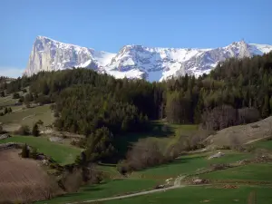 Macizo del Dévoluy - Prados, árboles y picos cubiertos de nieve de Bure (nieve)