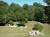 Macizo del Plantaurel - De césped, árboles y rocas