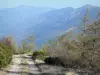 Macizo de Tanargue - Parque Natural Regional de los Monts d'Ardèche - Montañas Ardèche: rodeada de árboles con vistas a las montañas manera Tanargue