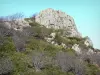 Macizo de Tanargue - Parque Natural Regional de los Monts d'Ardèche - Ardèche montaña: Rock Coucoulude