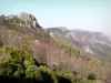 Macizo de Tanargue - Parque Natural Regional de los Monts d'Ardèche - montañas Ardèche: vista desde el cuello Meyrand