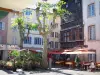 Mâcon - Place aux Herbes : maison de bois Renaissance, façades de maisons, platanes (arbres) et terrasses de restaurants