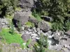 Mafate cirque - River lined with vegetation