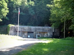 Maginot-Linie - Festung, umgeben mit Bäumen