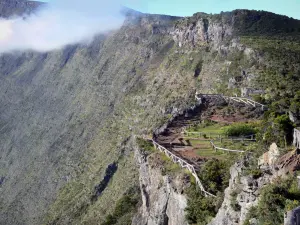 Maïdo belvedere - Réunion National Park: view of the Maïdo belvedere overlooking the Mafate cirque