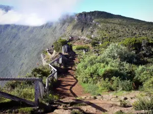 Maïdo belvedere - View of the Piton Maïdo peak