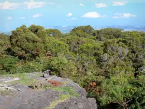 Maïdo belvedere - View of the west coast of the Réunion island from the Maïdo site