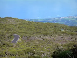 Maïdo belvedere - View on the road towards Maïdo, the west coast of the island and the Indian Ocean