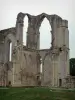 Maillezais abbey - Remains of the Saint-Pierre abbey: ruins of the abbey church