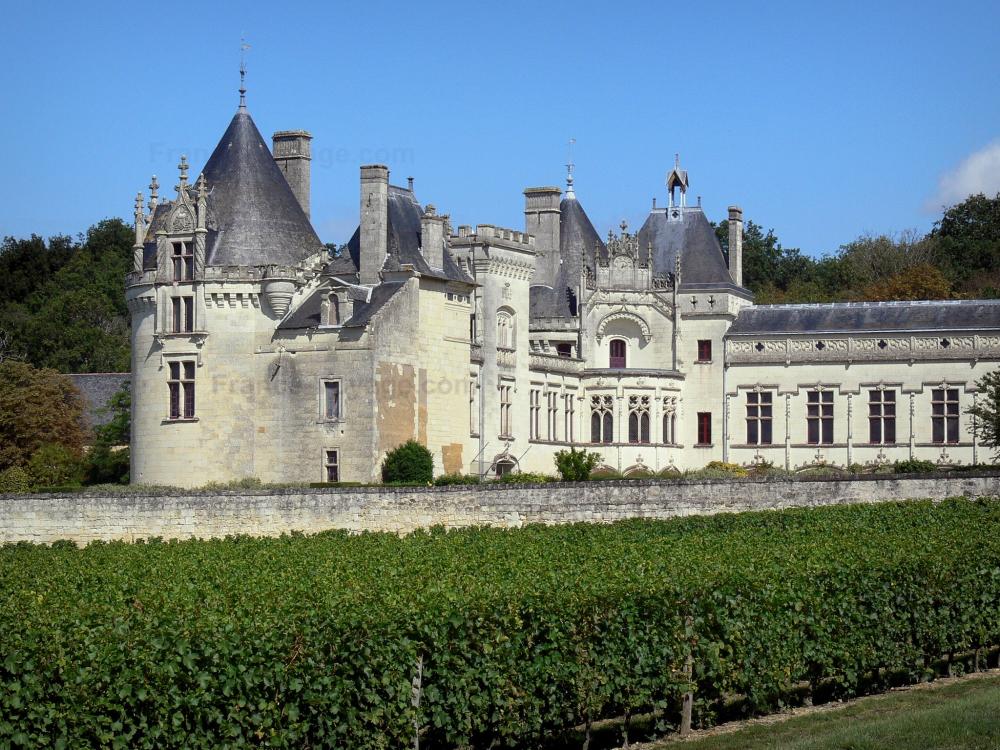 Guide du Maine-et-Loire - Château de Brézé - Château Renaissance et champ de vignes