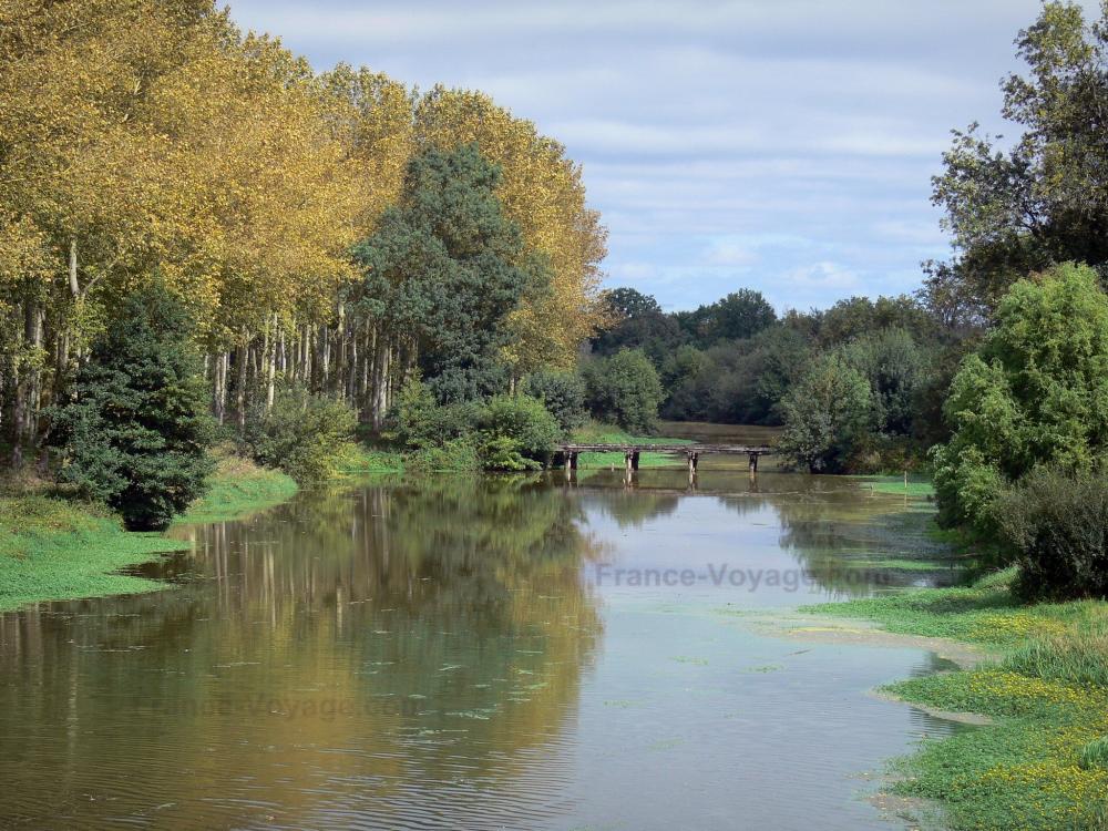 Guide du Maine-et-Loire - Paysages de l'Anjou - Vallée de la Mayenne : rivière Mayenne, arbres au bord de l'eau