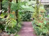 Maison Folio - Maak een wandeling in de tropische tuin
