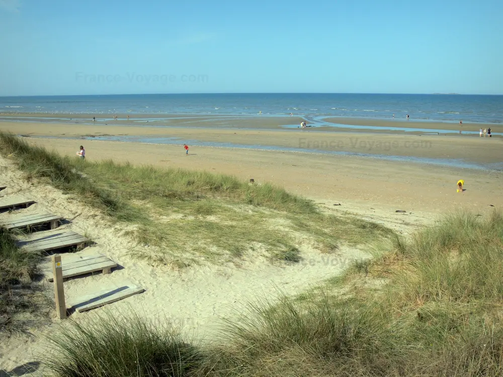 Guide of the Manche - Utah Beach - Dunes-de-Varreville (Landing beach): beachgrass (psammophytes), beach and the Channel