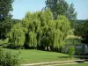 Manoir de Courboyer - Domaine de Courboyer : plan d'eau entouré d'arbres ; sur la commune de Nocé