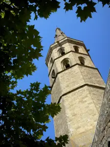 Marciac - Campanile ottagonale dell'ex convento agostiniano e foglie di sicomoro