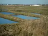 Marennes-Oléron basin - Oyster beds: claires maturing pools