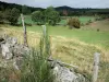 Margeride - Margeride landschap: weilanden bezaaid met bomen, stenen en hek op de voorgrond