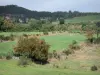 Margeride - Landscape of trees and pasture