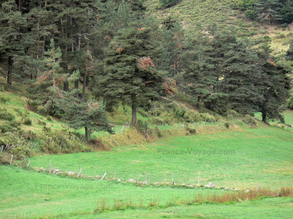 Photos La Margeride Guide Tourisme & Vacances