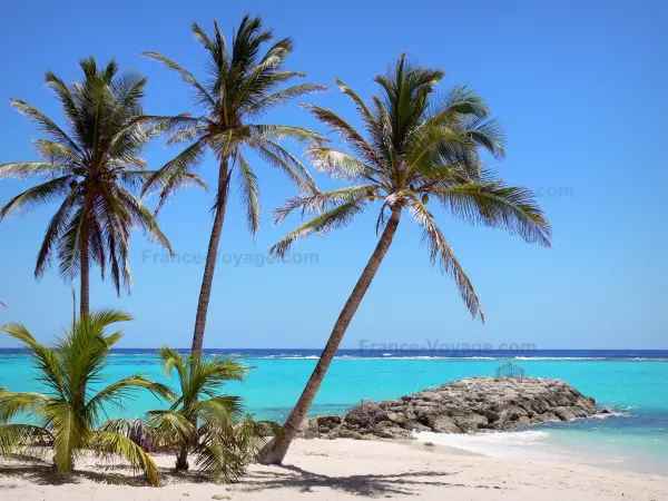 Marie-Galante - Führer für Tourismus, Urlaub & Wochenende in Guadeloupe