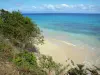 Marie-Galante - Petite plage de sable bordée de végétation avec vue sur la mer des Caraïbes