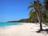 Marie-Galante - Plage de la Feuillère avec son sable blanc, ses cocotiers et son lagon turquoise