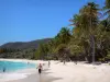 Marie-Galante - Plage de la Feuillère avec son sable blanc, ses cocotiers et son lagon turquoise