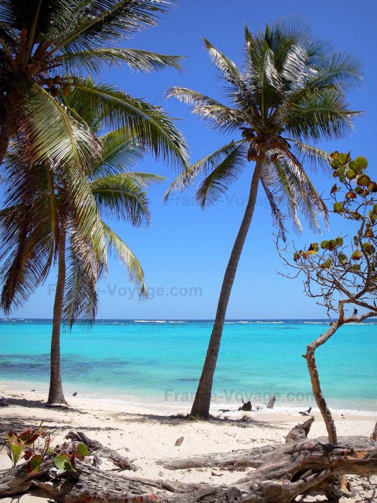 Photos MarieGalante 105 images de qualité en haute définition