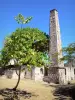 Marie-Galante - Habitation Murat : cheminée de l'ancienne sucrerie