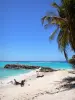 Marie-Galante - Sable blanc, cocotier et lagon turquoise de la plage de la Feuillère