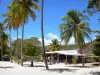 Marie-Galante - Terrasse de restaurant, filet de beach volley et cocotiers de la plage de la Feuillère