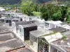 Le Marin - Tombes du cimetière du Marin