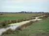 Marisma bretona de Vendée - Pequeño canal bordeado por campos (pastizales)