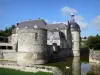 Guía de Marne - Castillo de Étoges - Castillo, el foso, el cisne en el agua