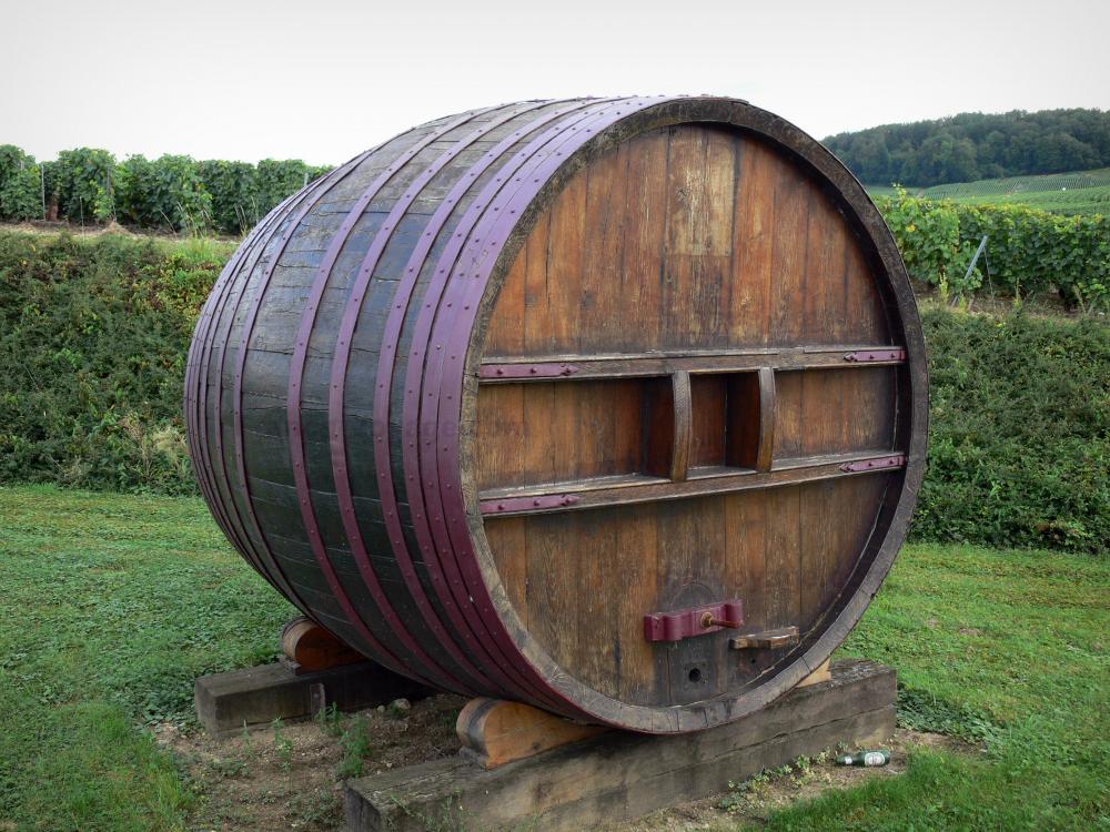 Guide de la Marne - Vignoble champenois - Vignoble de Champagne : tonneau, vignes en arrière-plan