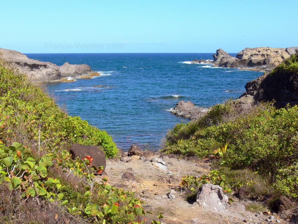 Guide de Martinique - Presqu'île de la Caravelle - Réserve naturelle de la Caravelle - Parc Naturel Régional de la Martinique : randonnée le long de la côte rocheuse