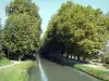 O Mas-d'Agenais - Canal de Garonne (canal lateral para o Garonne), Greenway (towpath) e plátanos (árvores) na beira da água