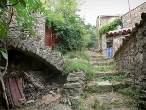 Le Mas Soubeyran - Cevennes gehucht Mas Soubeyran, over de gemeente van Mialet, in de Cevennen: steegje trap waar zich huizen en vegetatie