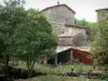 Le Mas Soubeyran - Hameau cévenol du Mas Soubeyran, sur la commune de Mialet, dans les Cévennes : maison en pierre entourée d'arbres