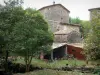 Le Mas Soubeyran - Cevennes frazione di Mas Soubeyran, sulla città di Mialet nella casa in pietra circondata da alberi Cévennes