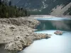 Massief van de Néouvielle - Neouvielle Park: Lake Oredon, rotsachtige oevers en bomen